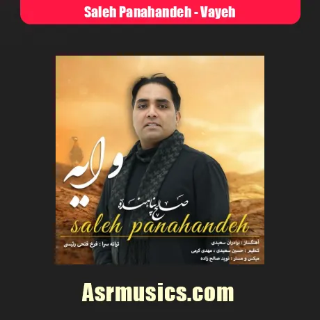 دانلود آهنگ صالح پناهنده وایه