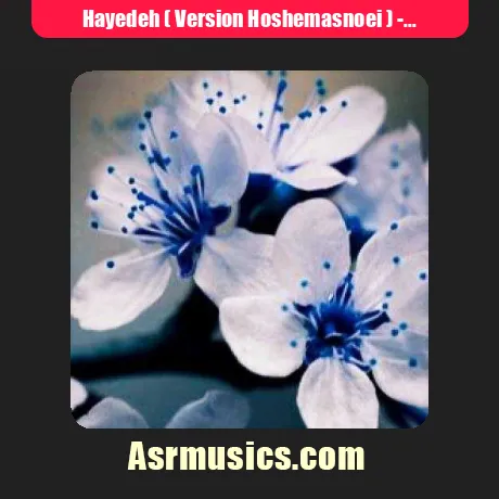 Hayedeh ( Version Hoshemasnoei )-Ghalbe Man