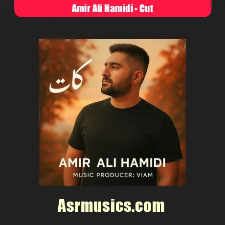 دانلود آهنگ امیر علی حمیدی کات