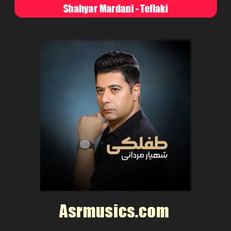 دانلود آهنگ شهیار مردانی طفلکی