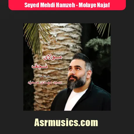 دانلود آهنگ سید مهدی حمزه مولای نجفی