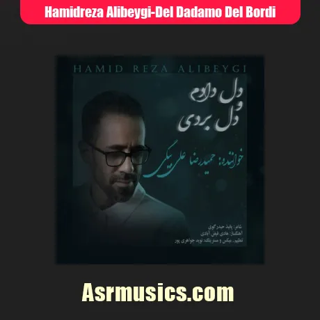 حمیدرضا علی بیگی دل دادم و دل بردی