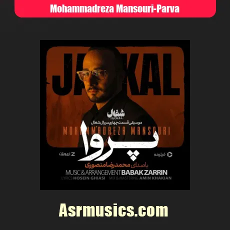 محمدرضا منصوری پروا