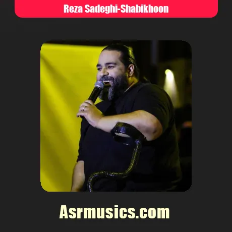 رضا صادقی شبیخون