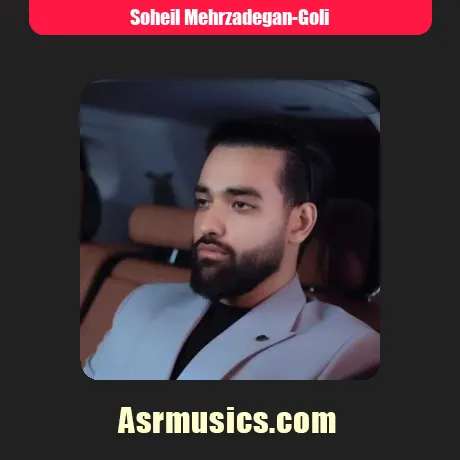 سهیل مهرزادگان گلی