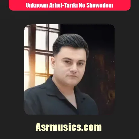 تاریکی ناو شویلم