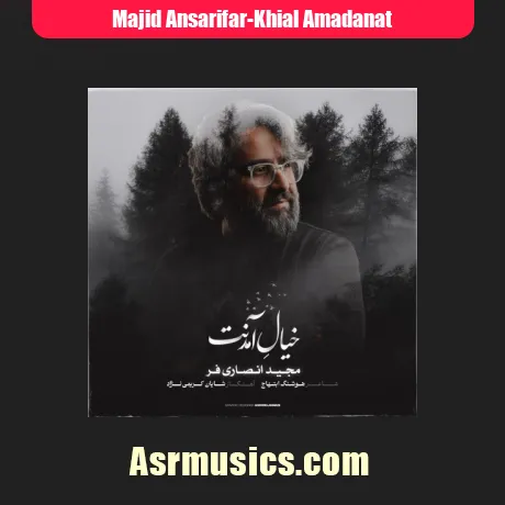 مجید انصاری فر خیال آمدنت