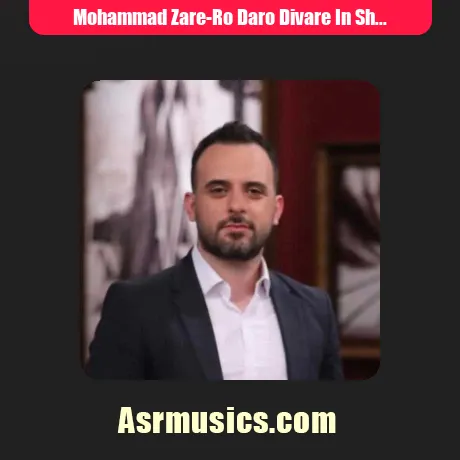 رو در و دیوار این شهر هست همش از تو یادگاره