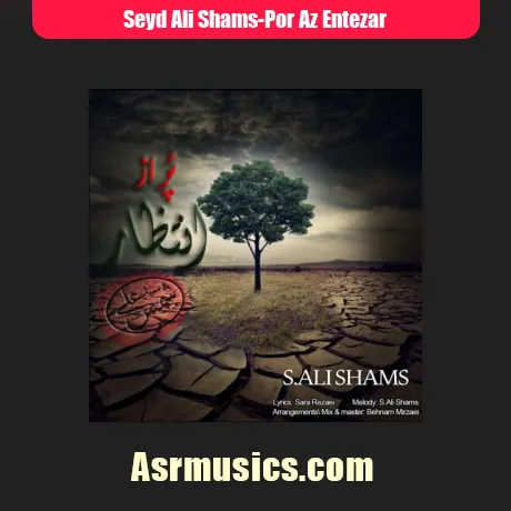 سید علی شمس پر از انتظار