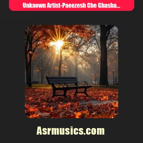پاییزش چه قشنگه ویگن