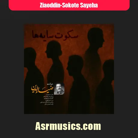 ضیاء الدین سکوت سایه ها
