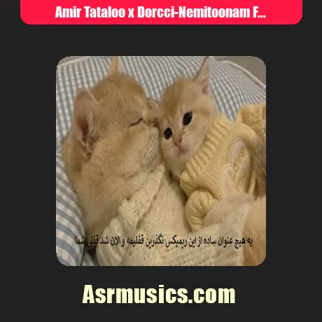 امیر تتلو و دورچی نمیتونم فراموش کنم اون همه داستانو هر چقدر بد باشی باز
