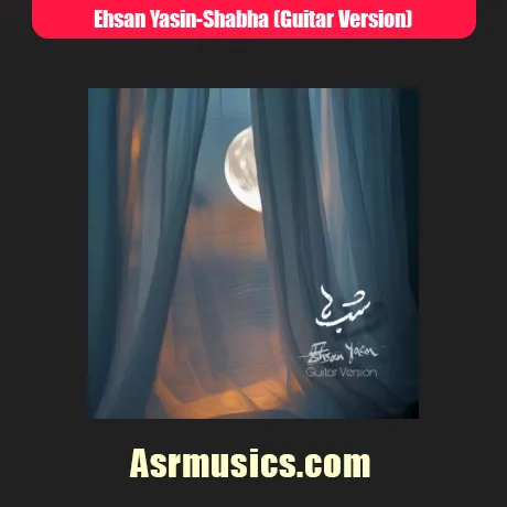 احسان یاسین گیتار ورژن شب ها