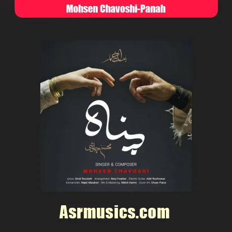 محسن چاوشی پناه