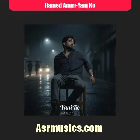 حامد امیری یعنی کو