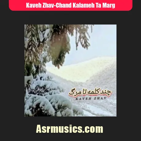 کاوه ژاو چند کلمه تا مرگ (بیکلام)